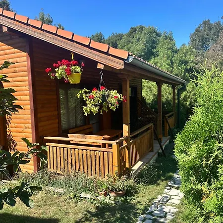 招待所 гнездото The Nest 1 洛泽内茨