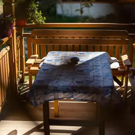 гнездото The Nest 1 3* 洛泽内茨