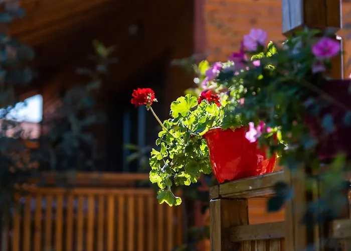 гнездото The Nest 1 3*